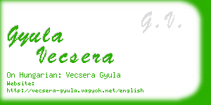 gyula vecsera business card